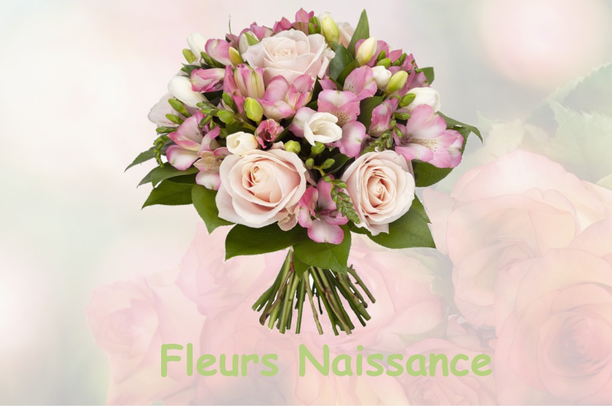 fleurs naissance MOUSSY-LE-NEUF